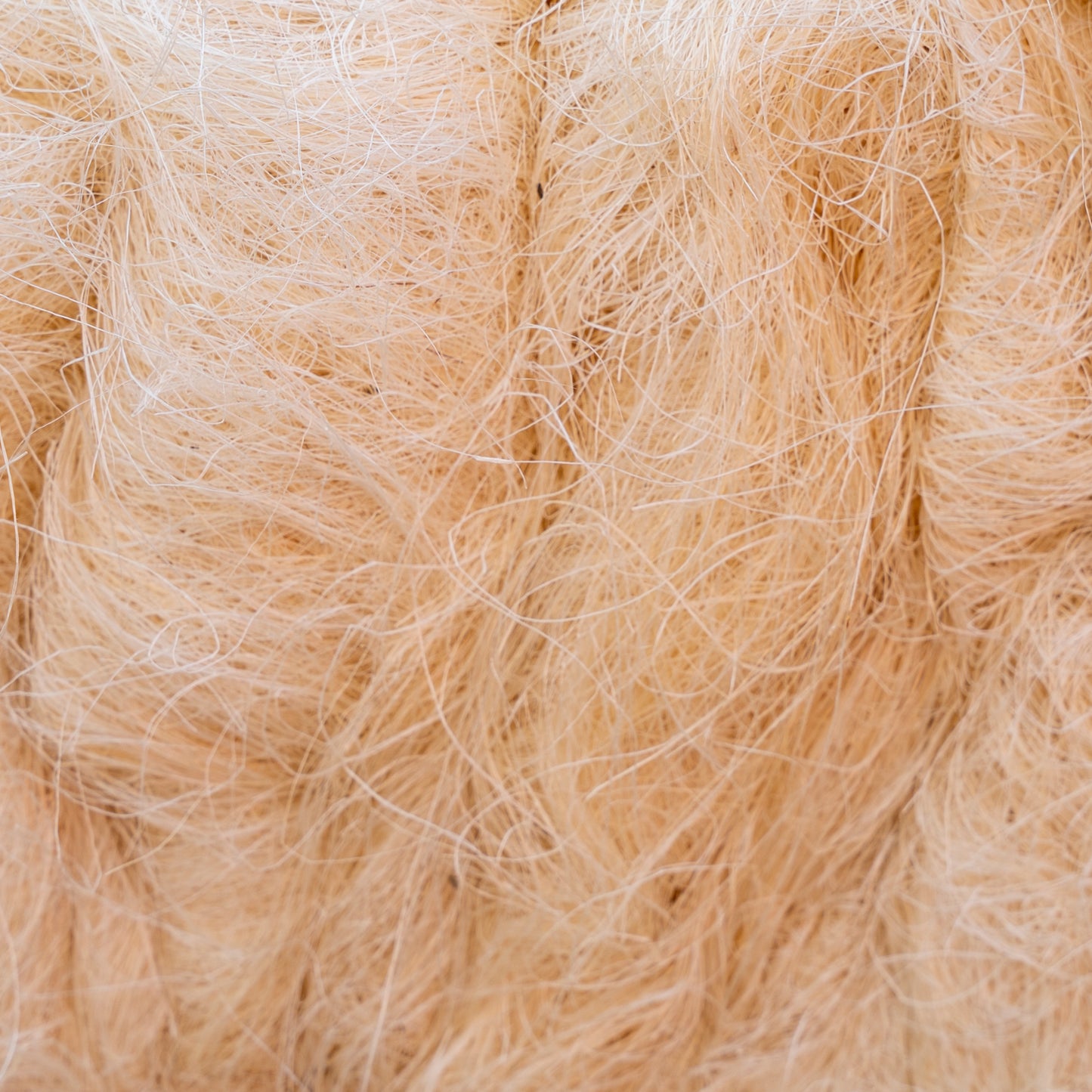 Sisal cardato pettinato e grezzo