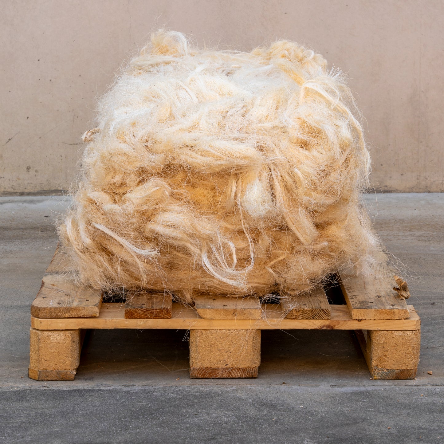 Sisal cardato pettinato e grezzo