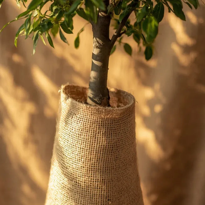 Jute cloth